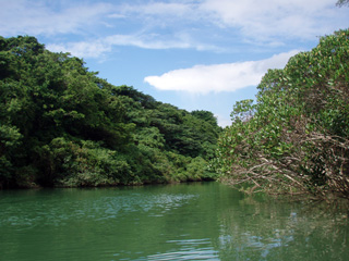 水量が豊富な比謝川（沖縄本島中部）