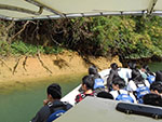マングローブ遊覧による平和・自然環境学習